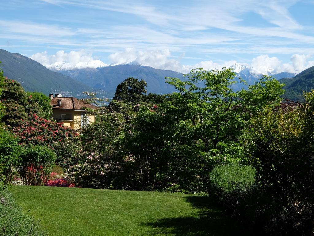 Park Belvedere Hotel