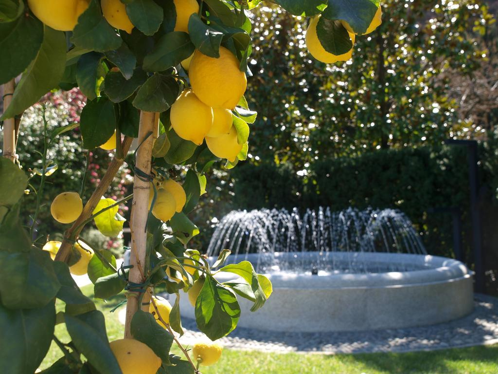 Park Belvedere Hotel Cannobio