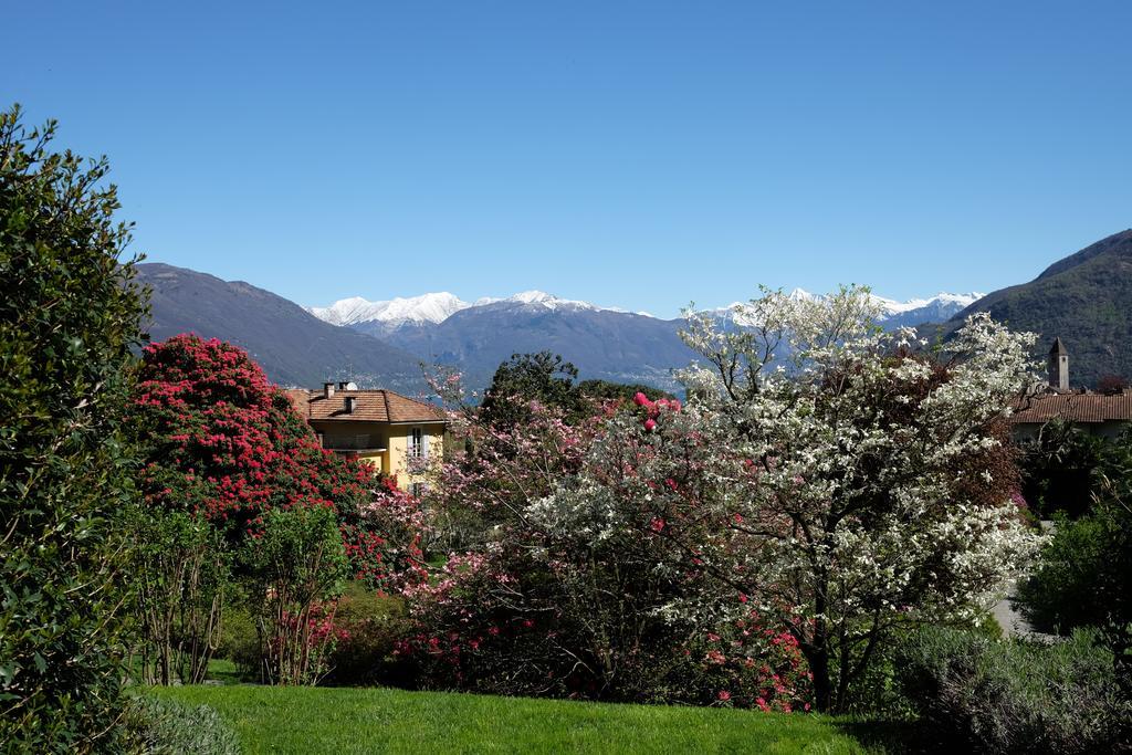 Hotel Park Belvedere Cannobio