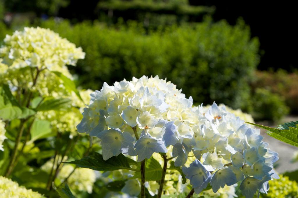 Hotel Park Belvedere Cannobio