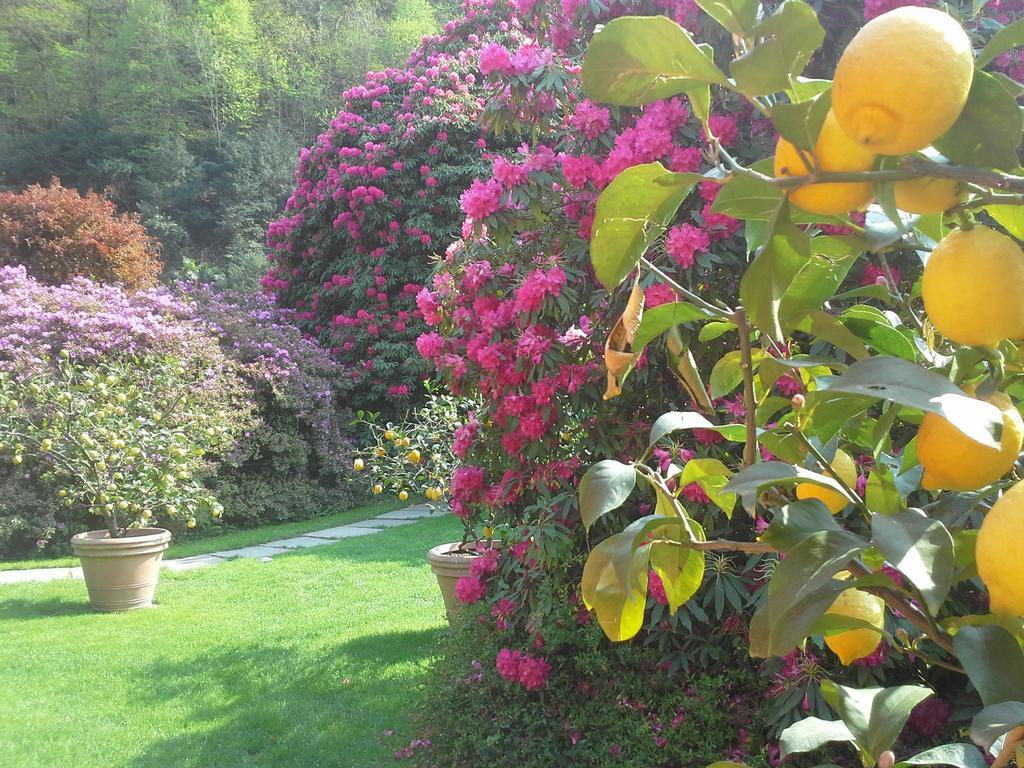 Park Belvedere 3*